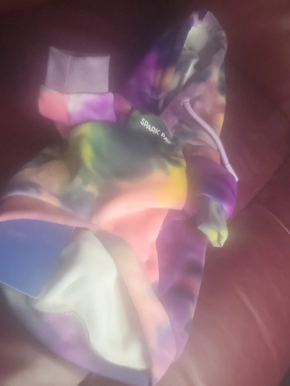 Spark Paws Tie-Dye Dog Hoodie in Multicolor
